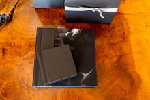 Load image into Gallery viewer, Luminous Companion Album